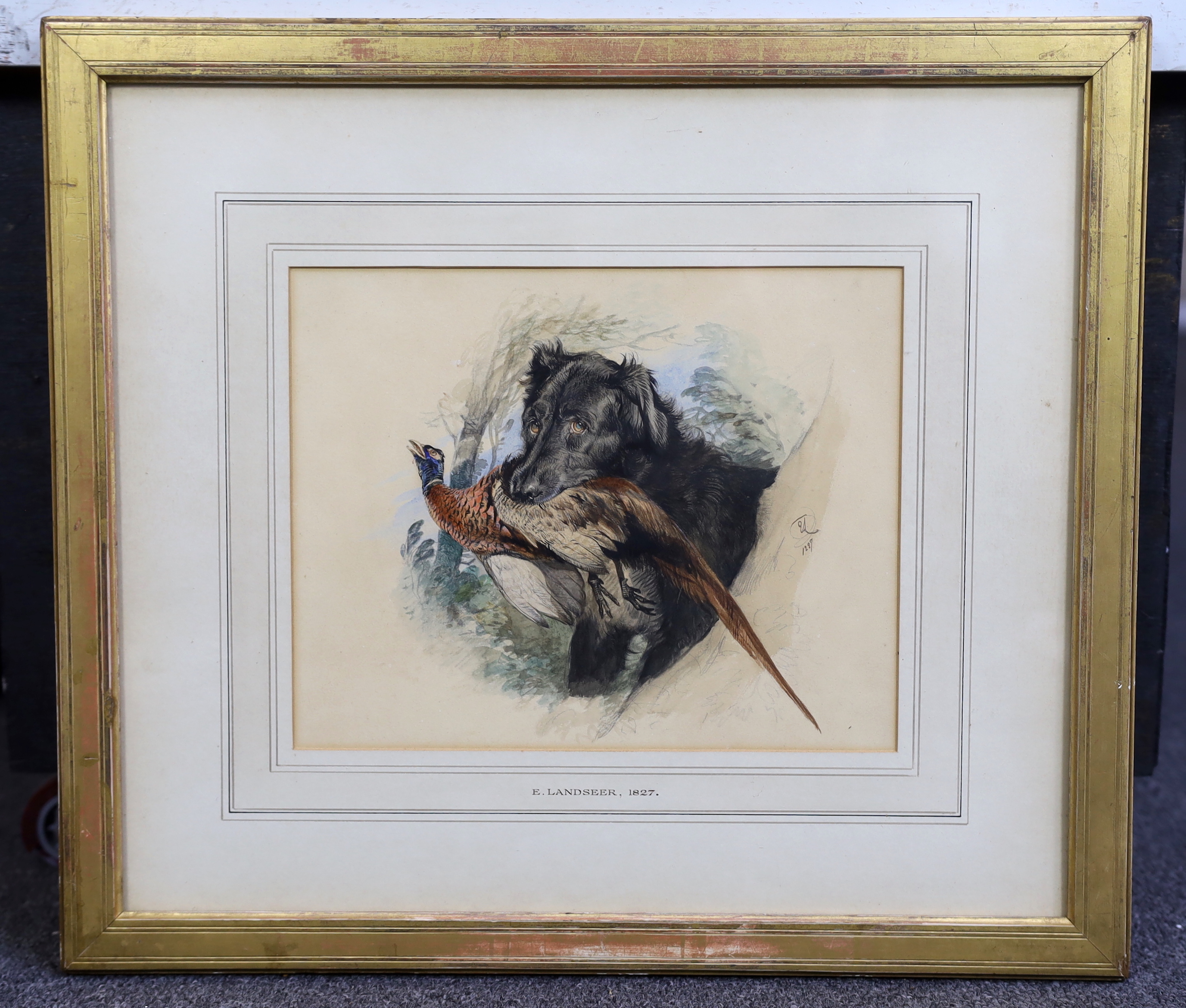 Sir Edwin Henry Landseer R.A. (1802-1873), 'A retriever, with pheasant in his mouth - unfinished', watercolour, 19.5 x 25cm, Ex. Collection The Duke of Bedford